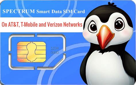 spectrum smart data sim card|spectrum login.